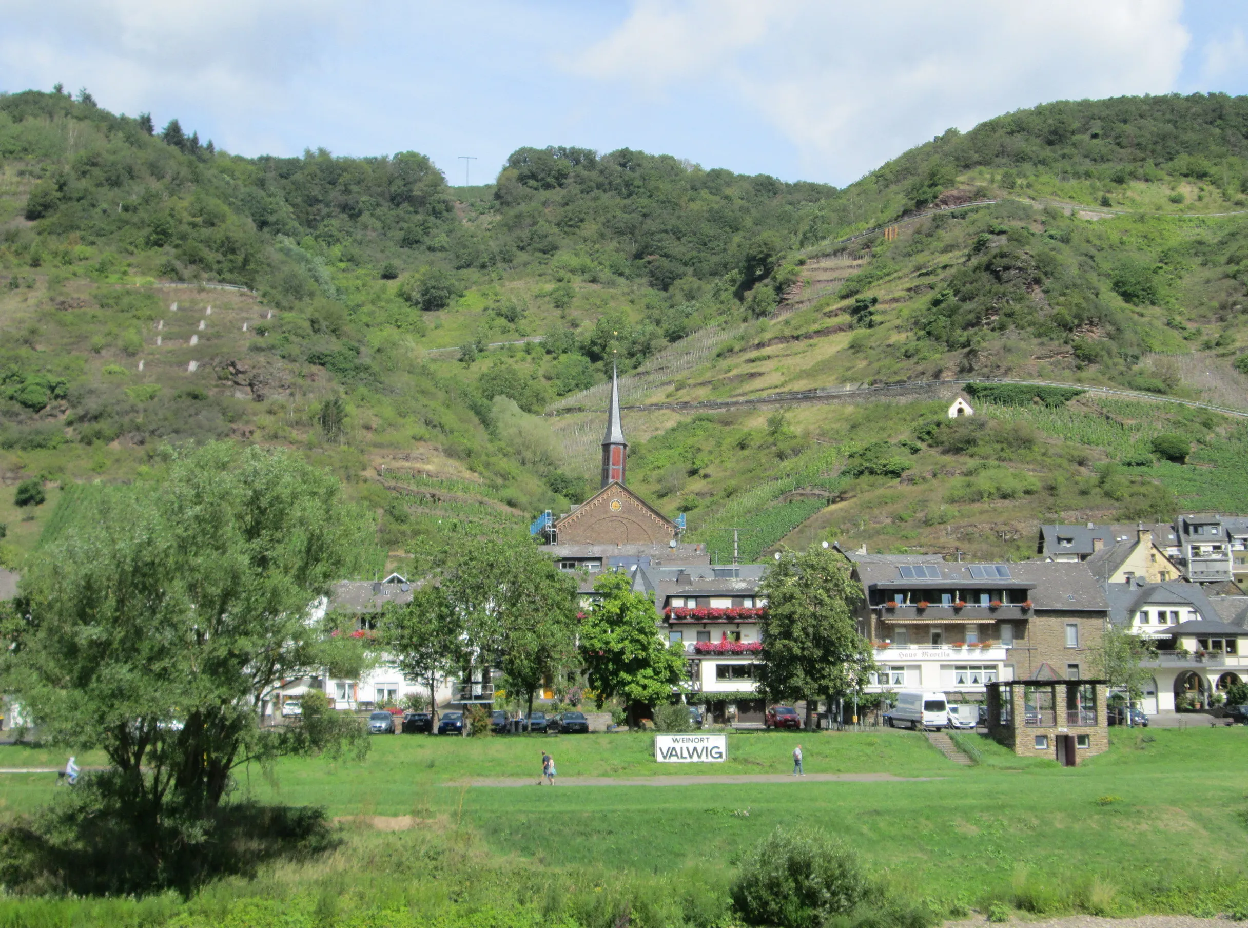 Der Weinort Valwig an der Mosel, dahinter terrassierte Weinberge und bewaldete Hänge