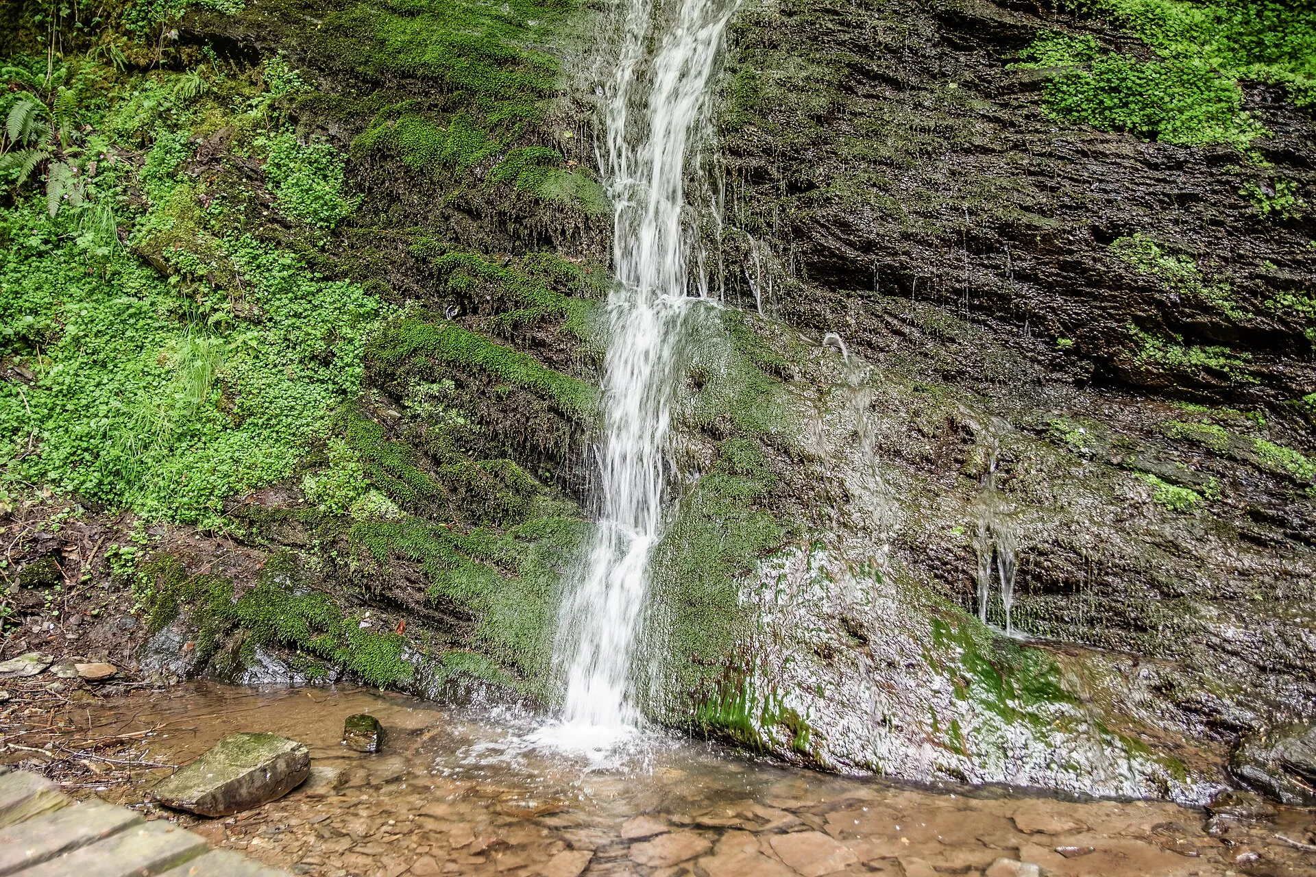 Schmaler Wasserfall stürzt über eine moosbewachsene Felswand in ein flaches Bachbett im Dortebachtal
