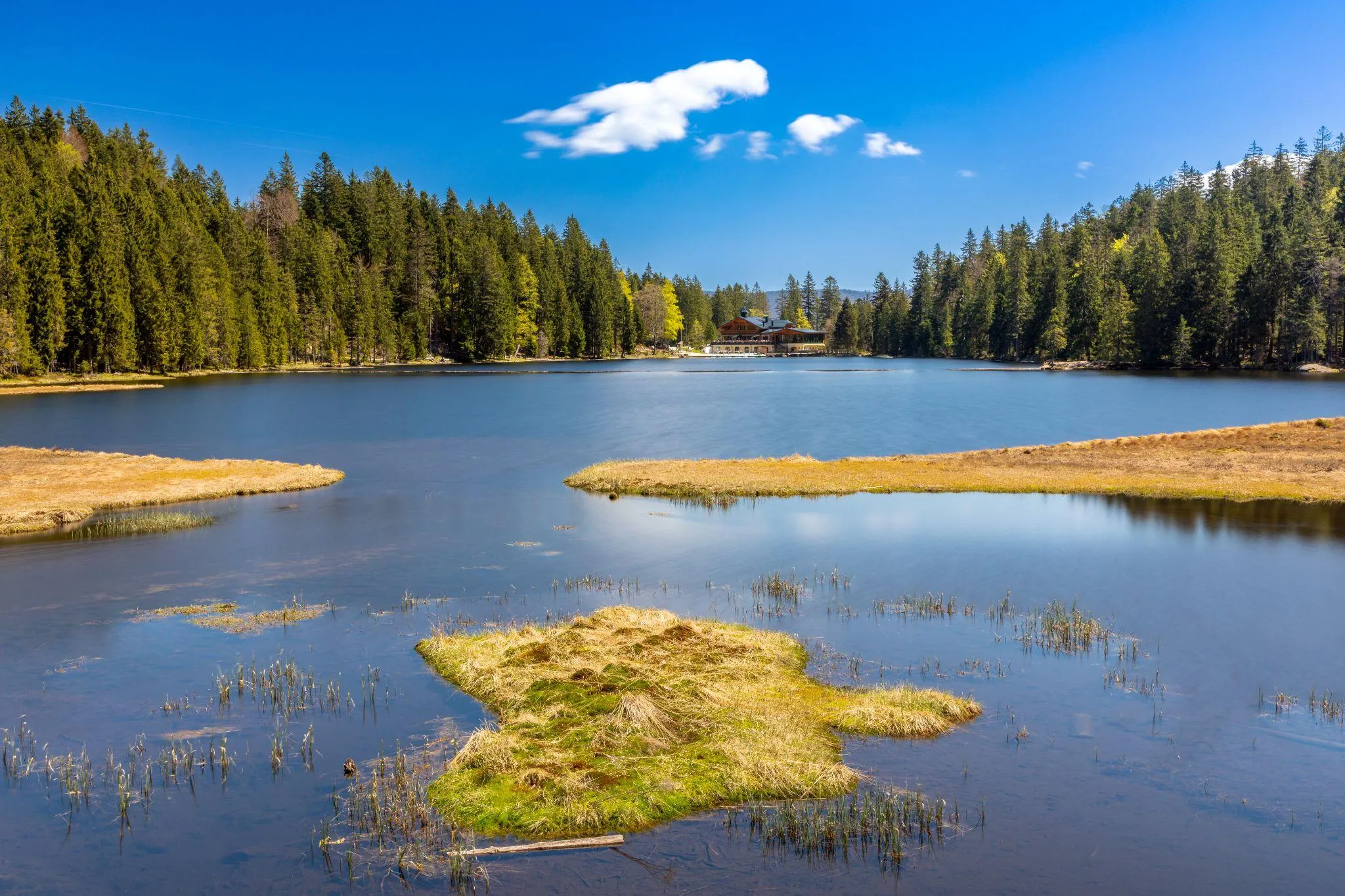 Stiller Bergsee mit Grasinseln und Binsen vor dichtem Fichtenwald, am gegenüberliegenden Ufer ein Gasthaus mit Holzfassade