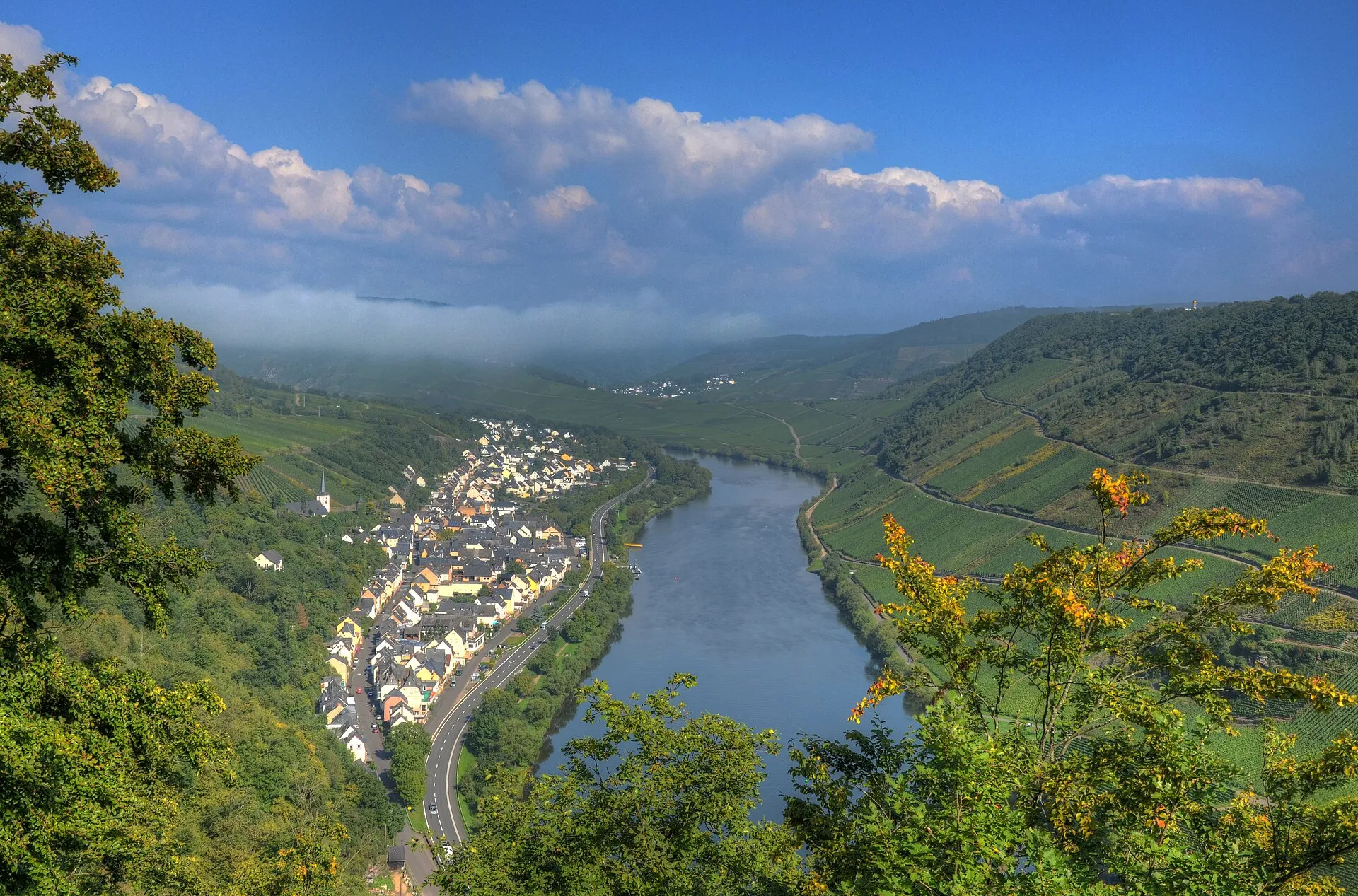 Blick von oben auf das langgestreckte Dorf Briedel am Moselufer, gegenüber die Weinberge in der Flussschleife