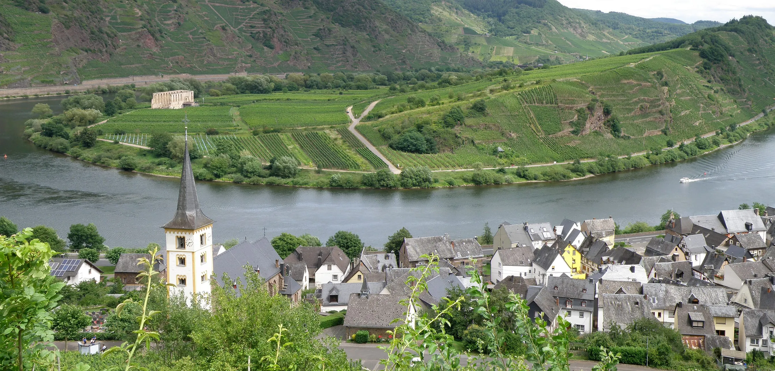 Blick über Bremm an der Mosel: Kirchturm, Ortslage am Ufer, gegenüber die Moselschleife mit Weinbergen