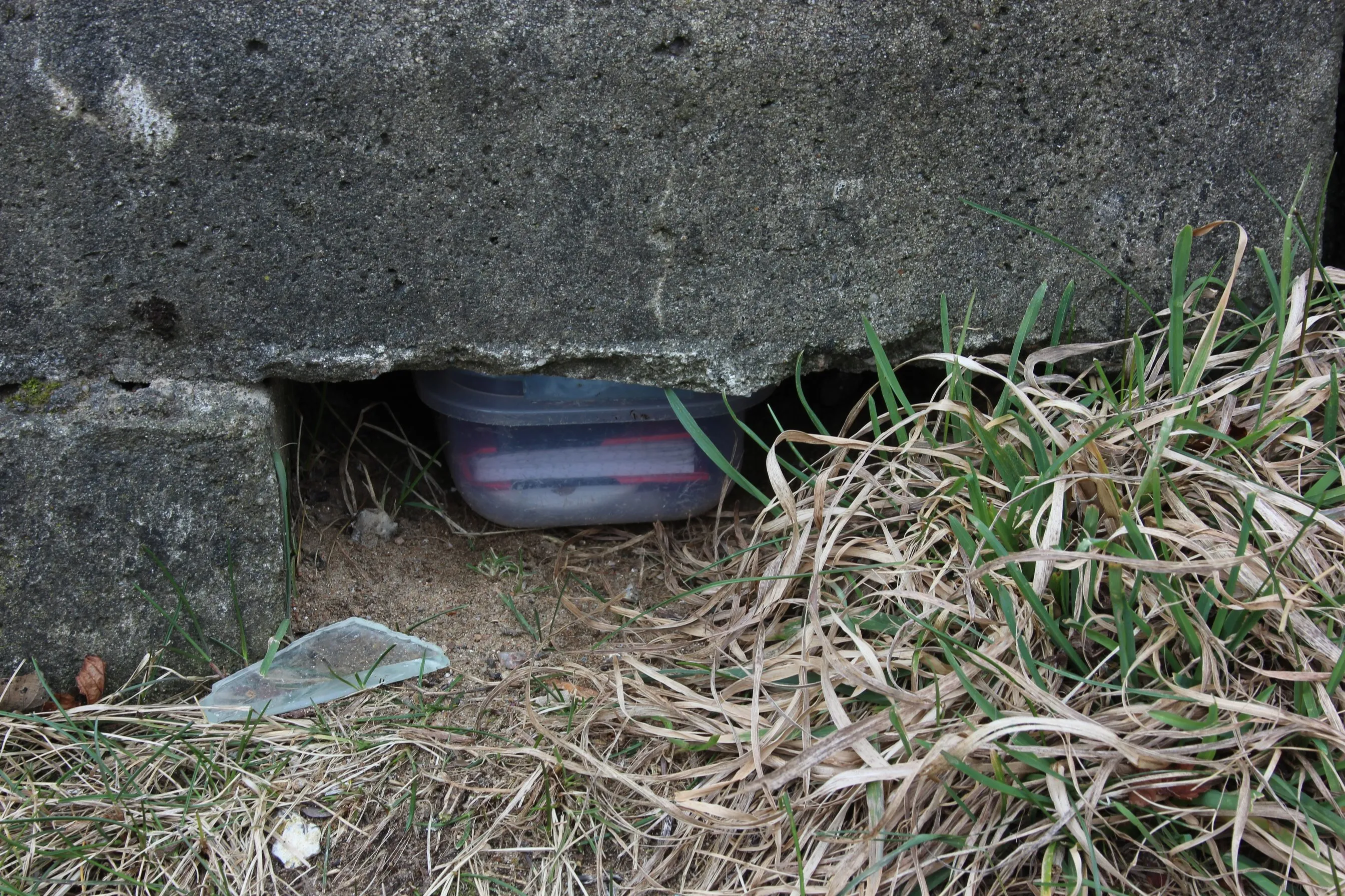 Durchsichtige Plastikdose mit Deckel, versteckt in einer Lücke unter einer Betonplatte, daneben trockenes Gras