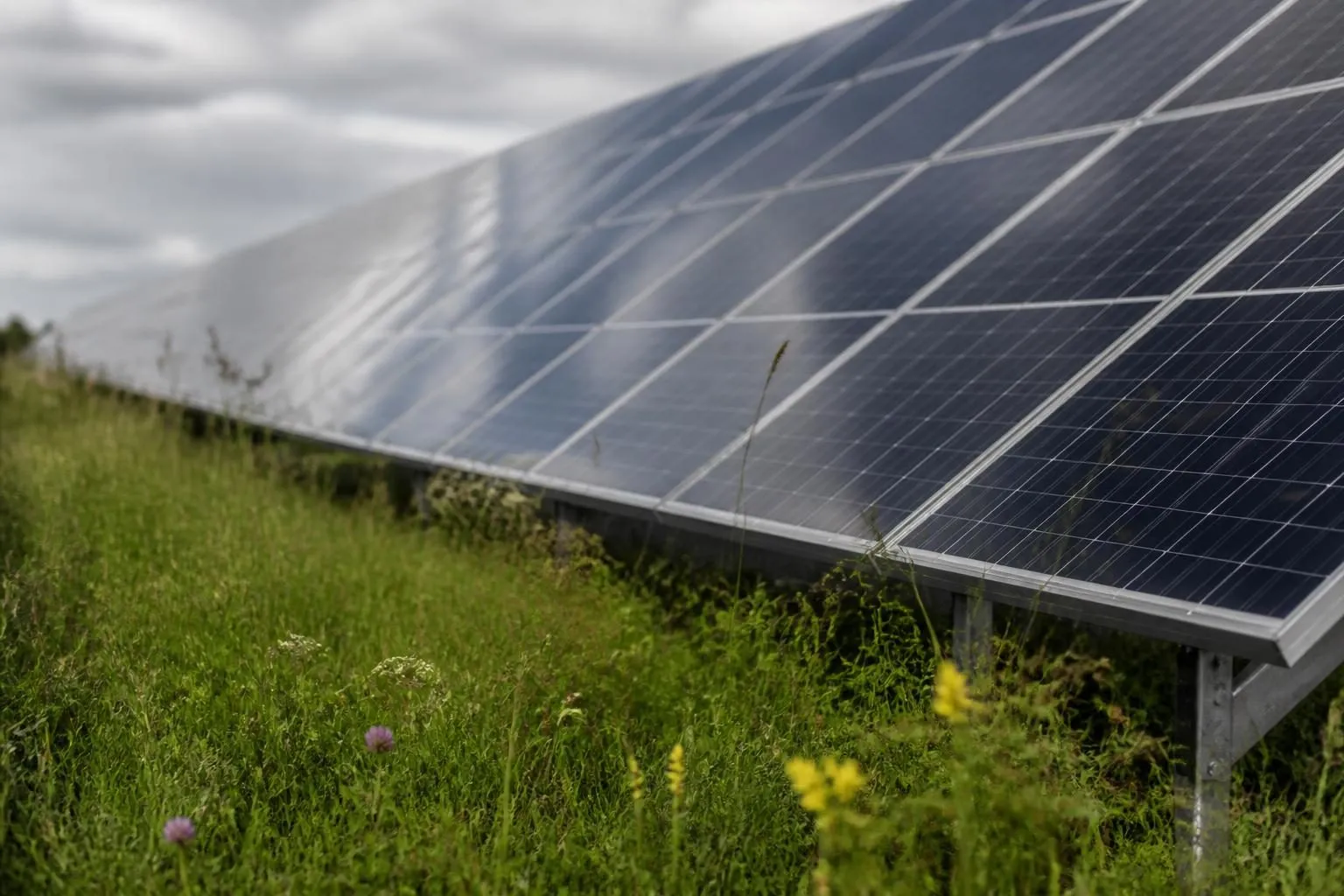 Niedrige Reihe dunkler Solarmodule über hohem Wiesengras mit Wildblumen, im Glas spiegelt sich ein bedeckter Himmel