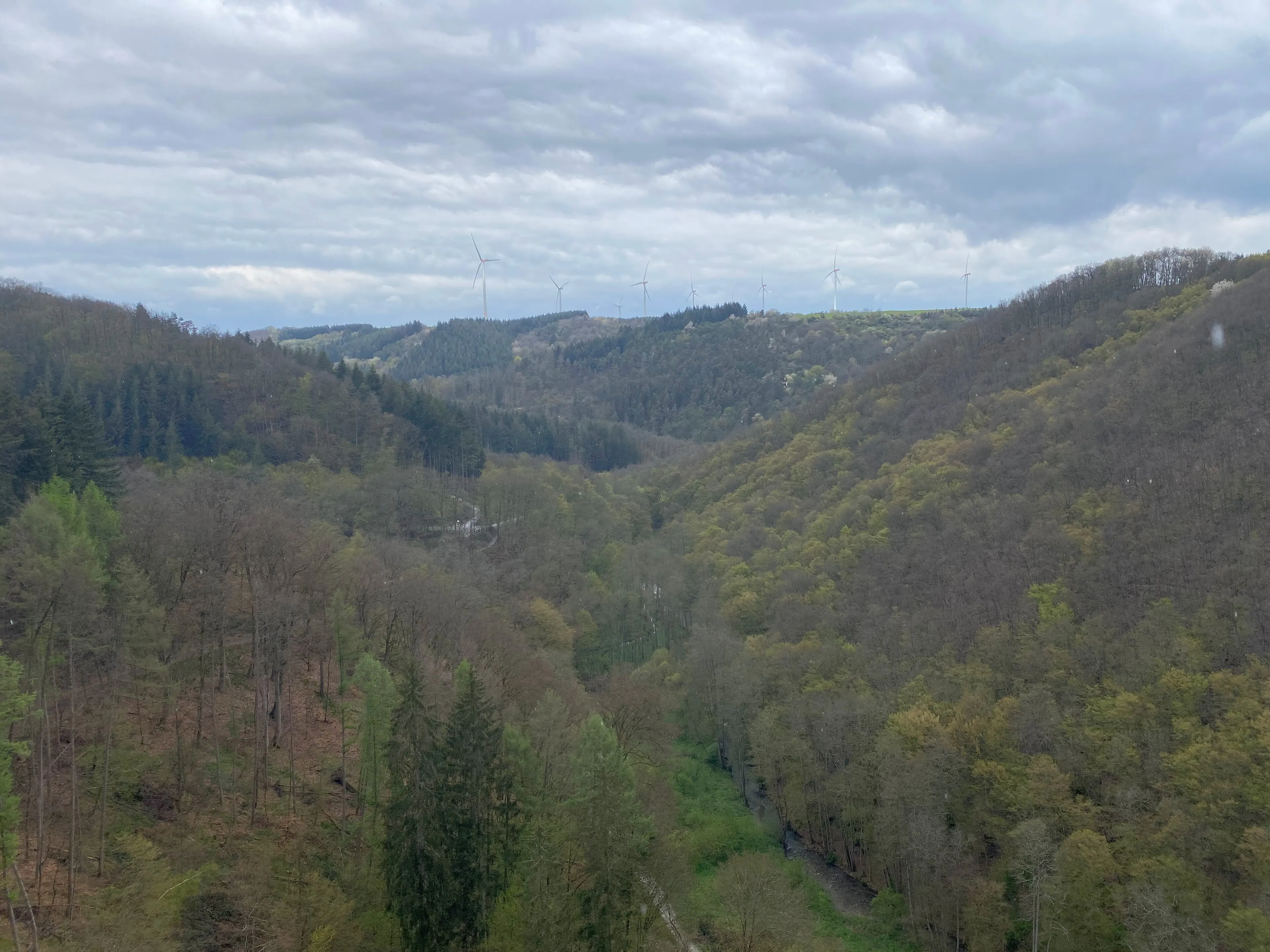 Blick von der Hängeseilbrücke Geierlay in das bewaldete Mörsdorfer Bachtal, auf dem Höhenrücken dahinter Windräder