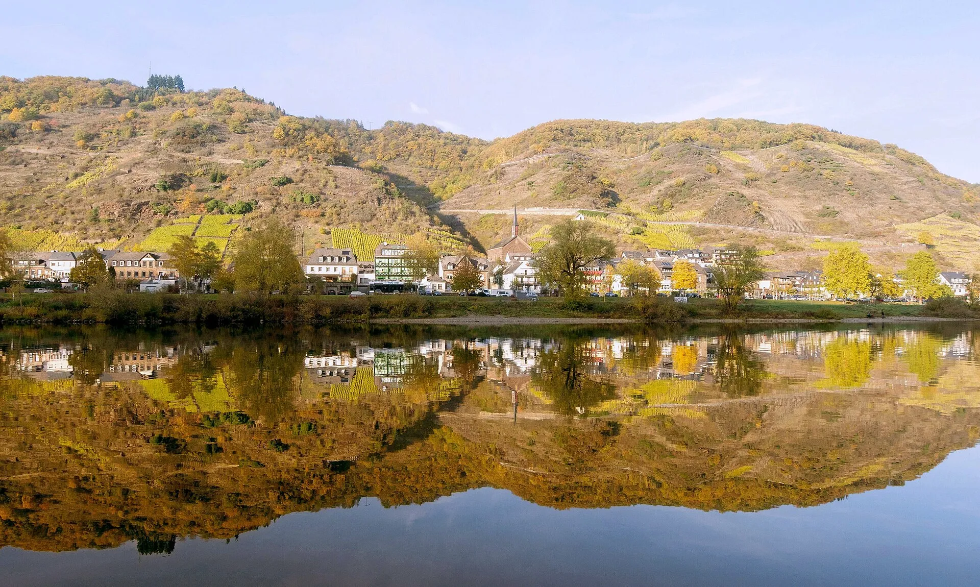 Valwig von der gegenüberliegenden Moselseite, darüber die Weinberge im Herbstlaub