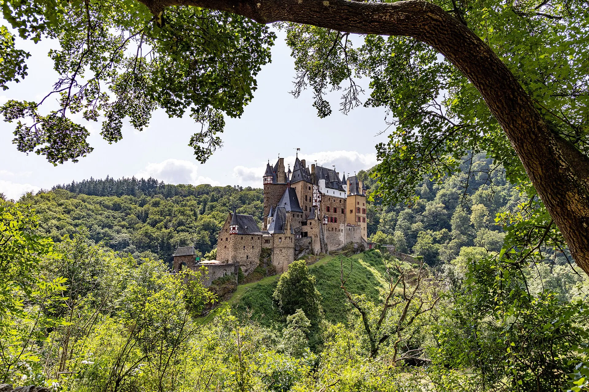 Burg Eltz auf ihrem Felssporn über dem bewaldeten Elzbachtal, im Vordergrund der Ast einer Eiche