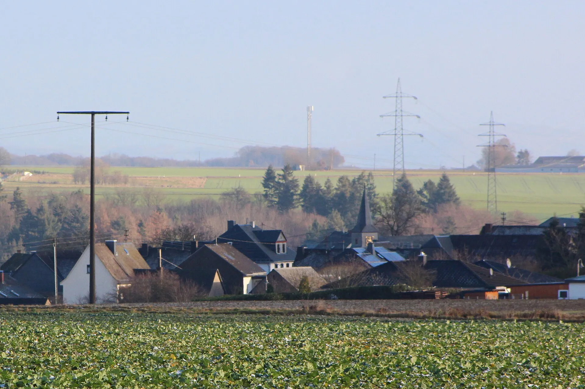 Ortssilhouette mit spitzem Kirchturm hinter kahlen Bäumen, davor ein Feld und eine Stromleitung