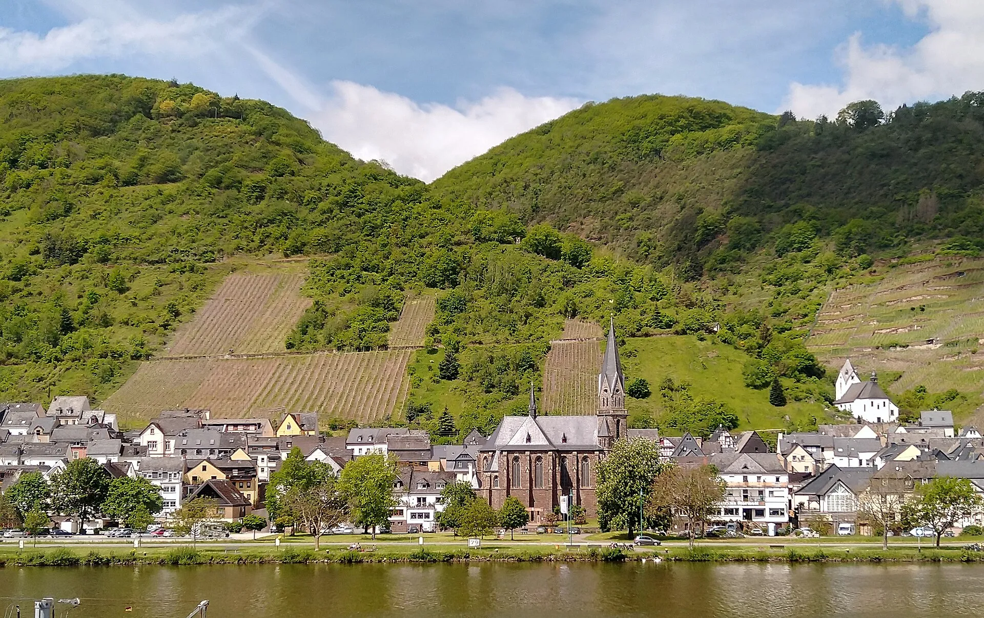Blick über die Mosel auf Sankt Aldegund: am Ufer eine flache Wiese mit Straße, dahinter der Ort und Weinbergsterrassen