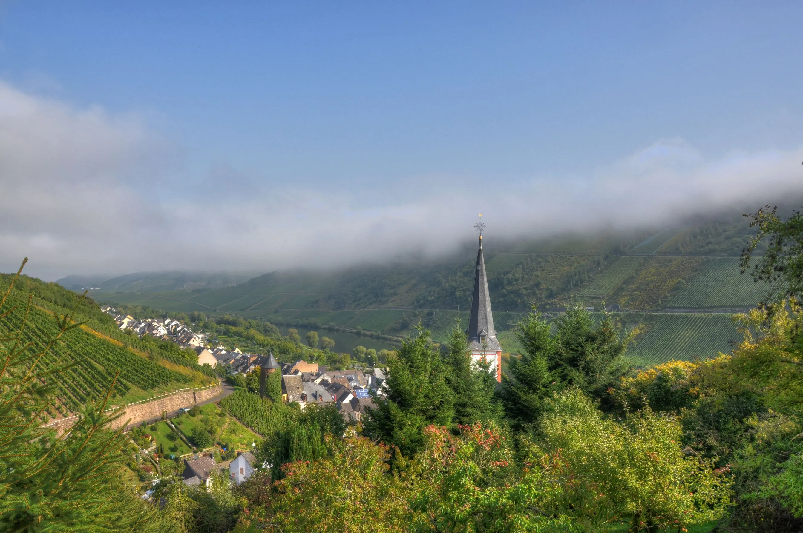 Kirchturm mit spitzem Schieferhelm über den Dächern von Briedel, dahinter Weinberge und eine tief hängende Nebelbank