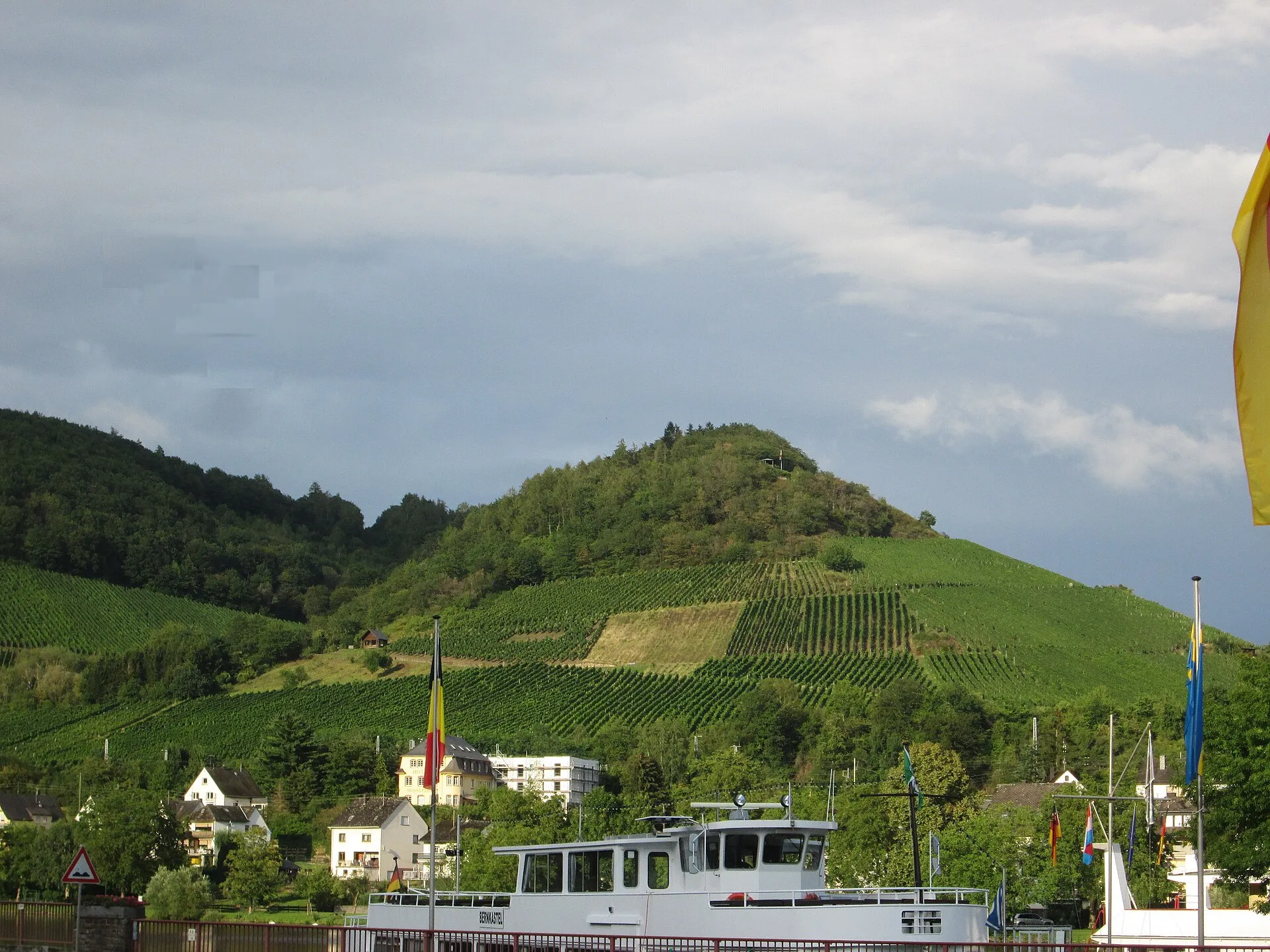 Weinberge über der Mosel bei Bullay, Rebzeilen an einem Steilhang im Sommer