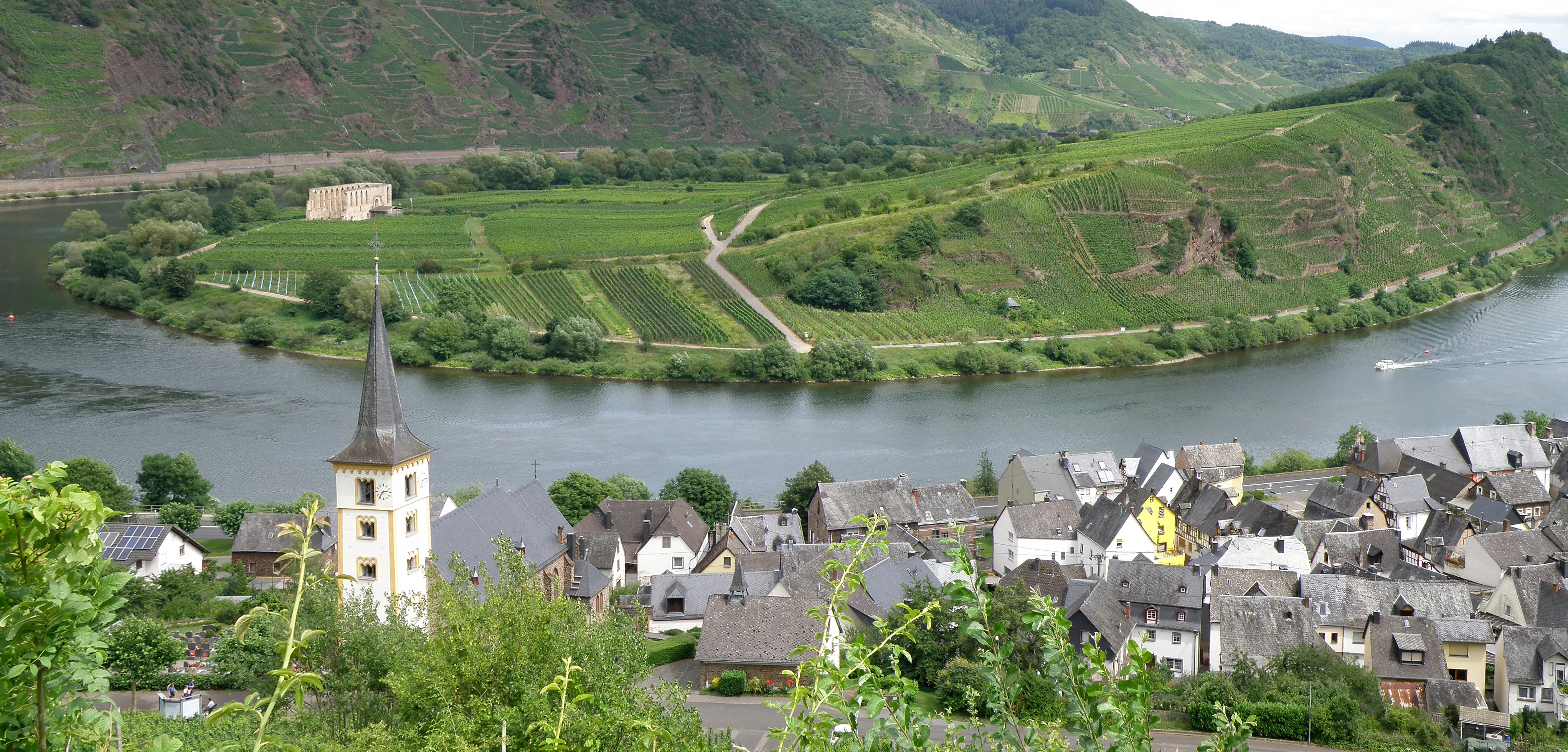 Blick über Bremm an der Mosel: Kirchturm, Ortslage am Ufer, gegenüber die Moselschleife mit Weinbergen