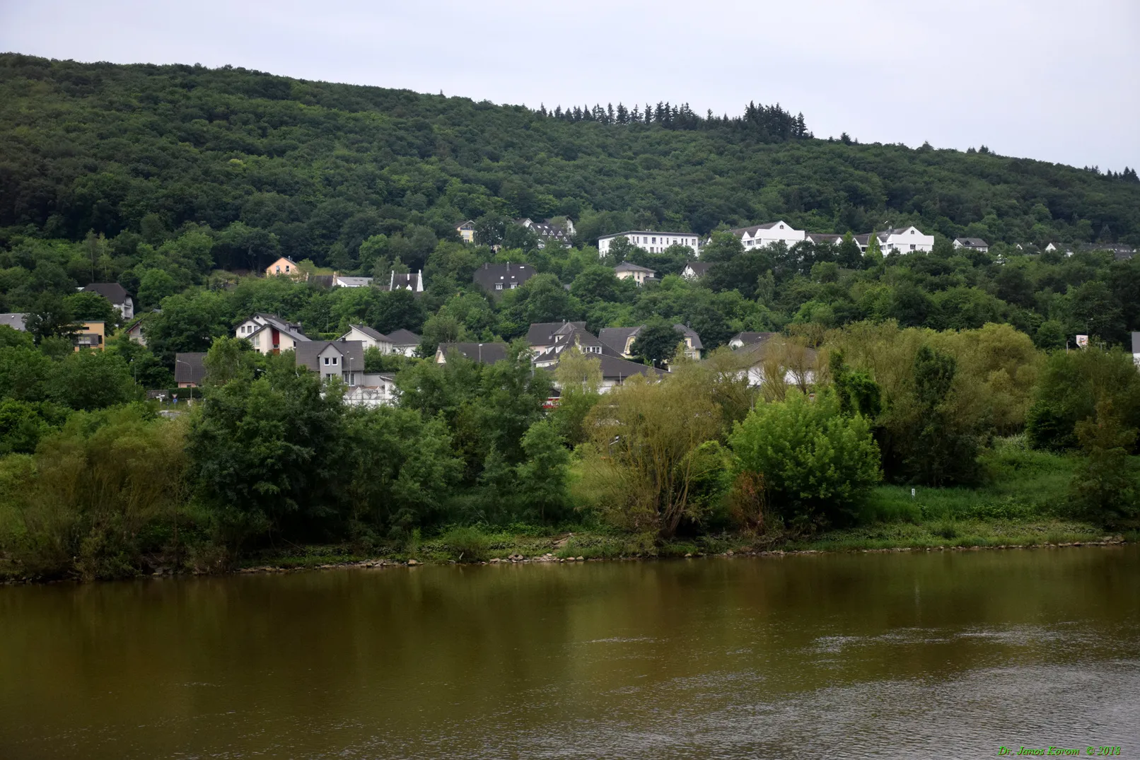 Klotten an der Mosel: Häuser am Hangfuß über dem Fluss, dahinter ein bewaldeter Höhenzug