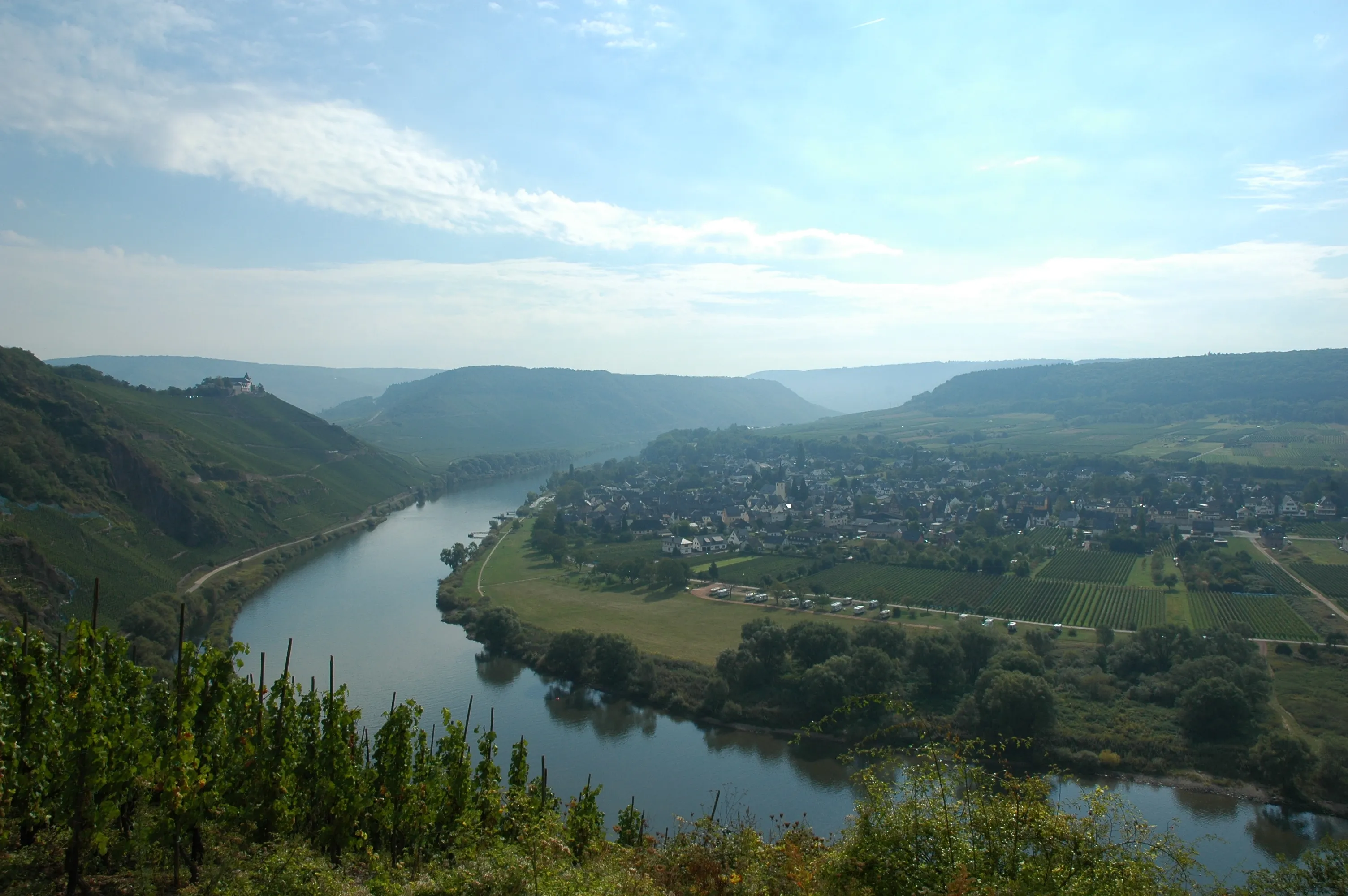 Blick von den Weinbergen über die Moselschleife auf Pünderich, links auf dem Bergrücken die Marienburg