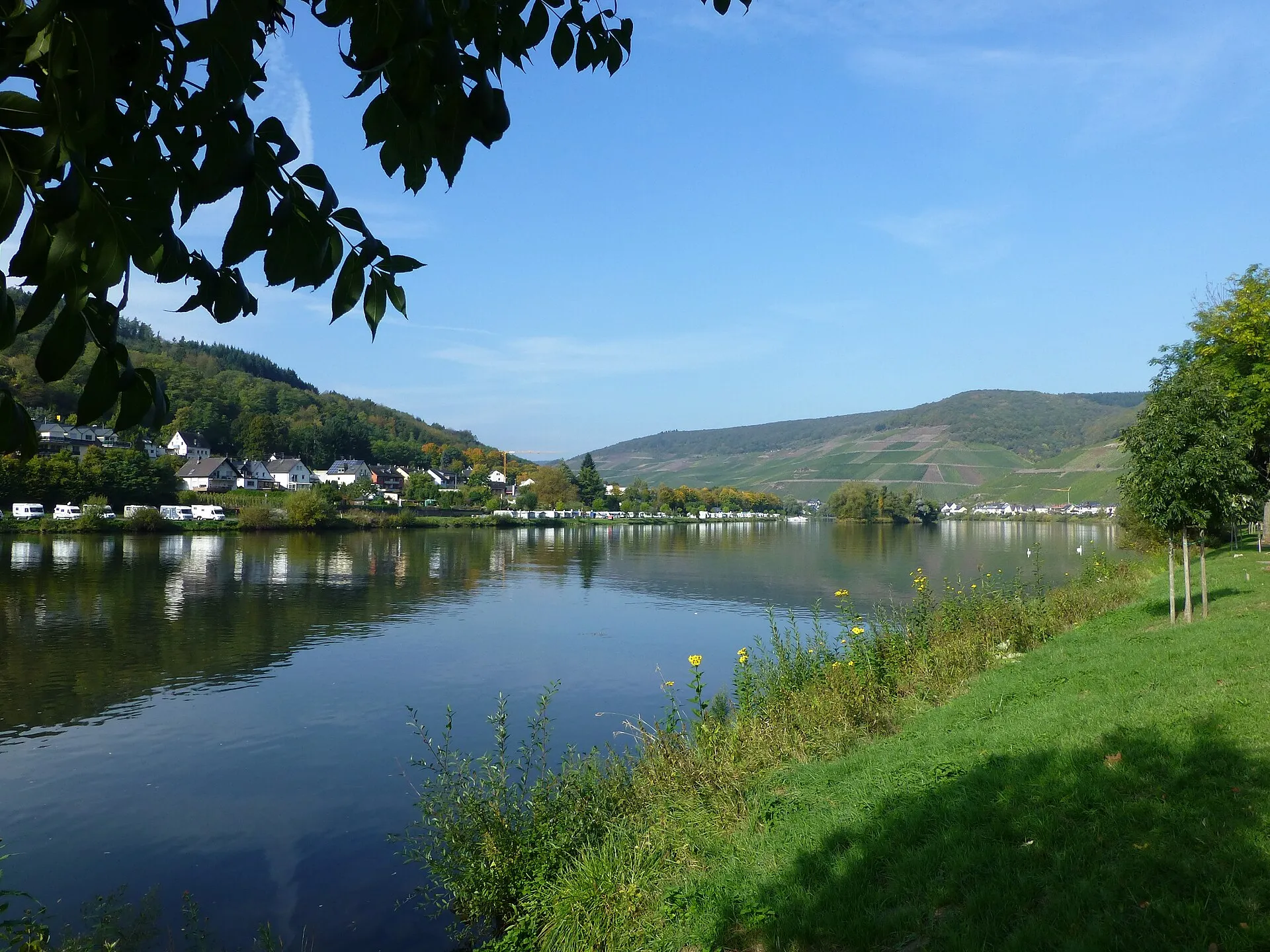 Blick über die Mosel auf den Ortsteil Zell-Kaimt, am Ufer eine lange Reihe Wohnmobile, dahinter Weinberge