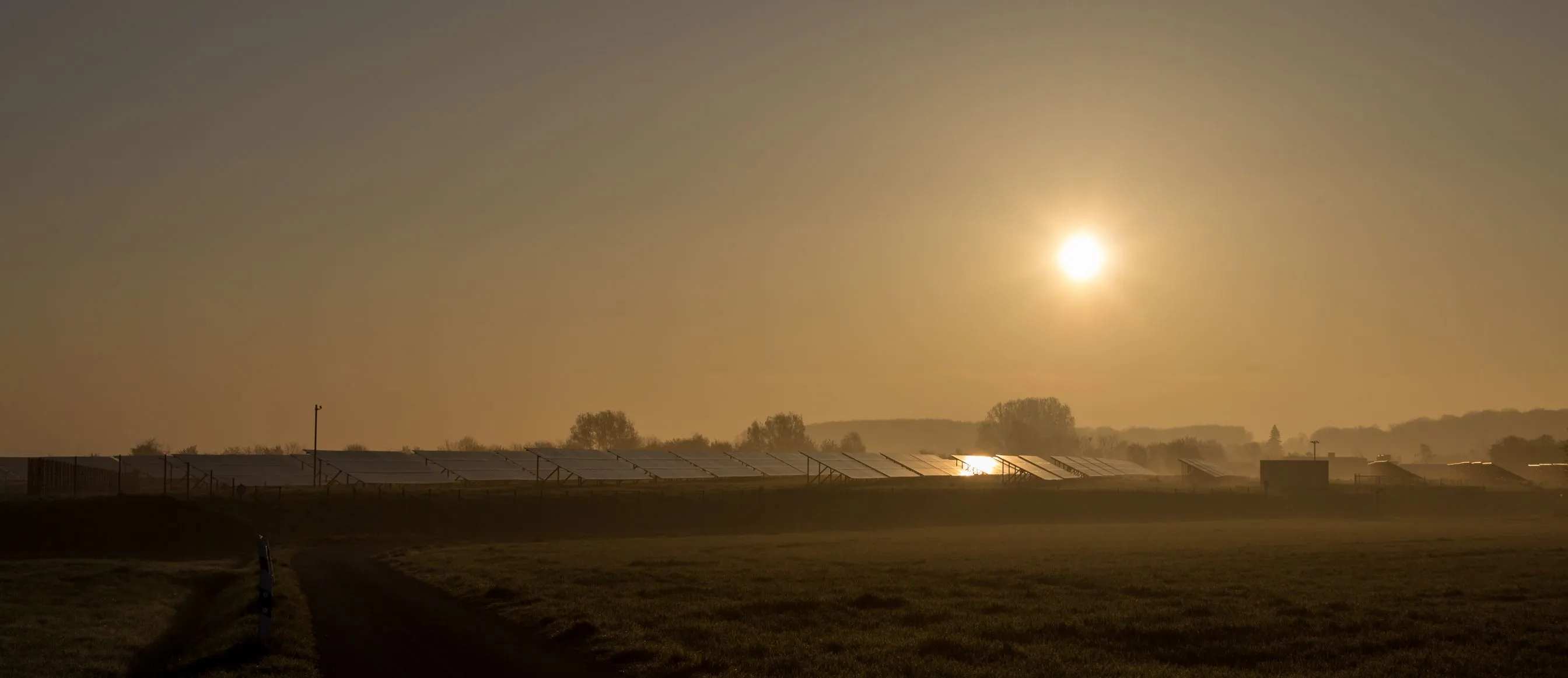 Reihen aufgeständerter Solarmodule auf einer Wiese im Morgennebel, dahinter eine tiefstehende Sonne über einer Baumreihe