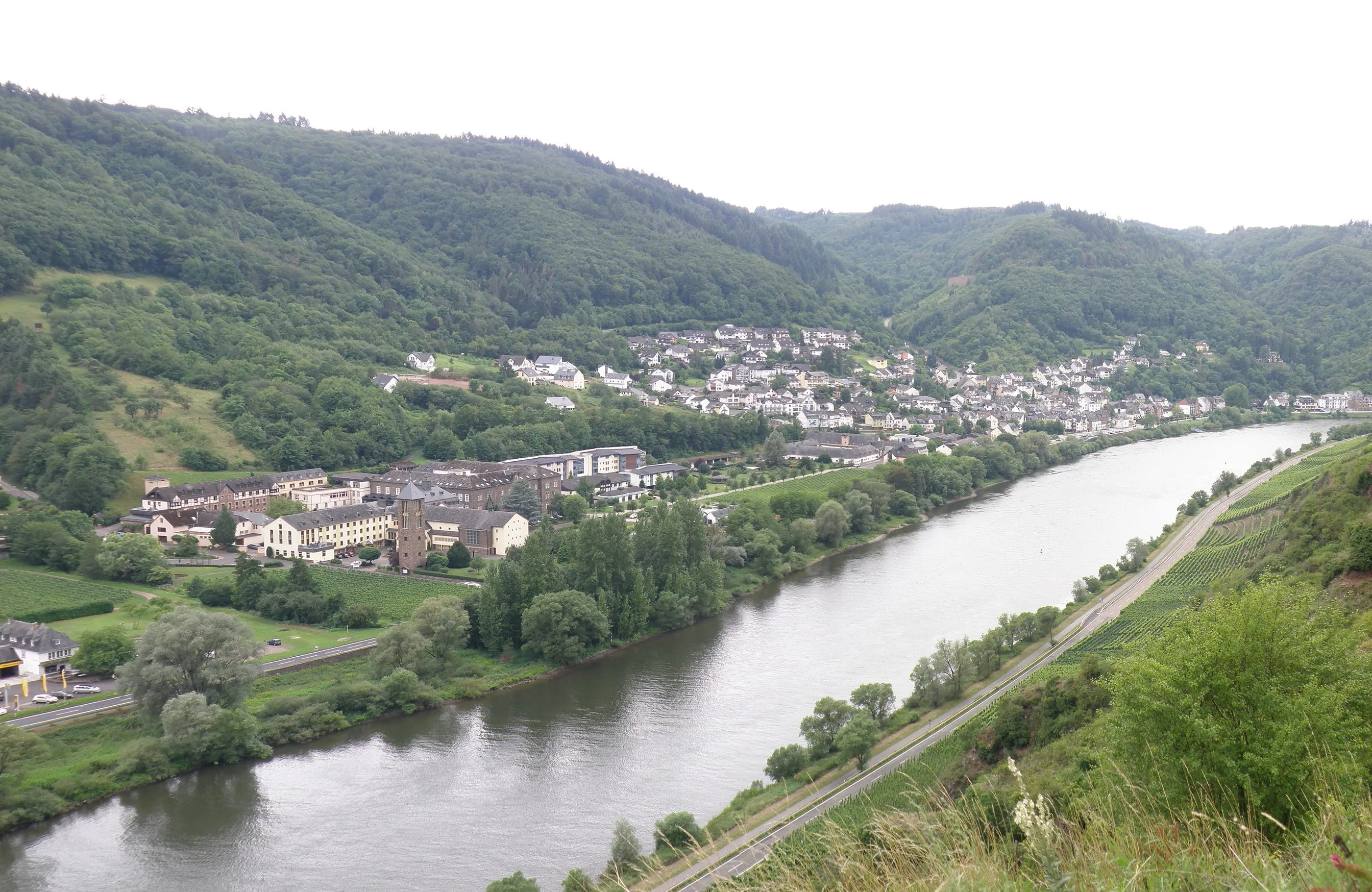 Blick von der Höhe auf den Cochemer Stadtteil Sehl und die Mosel, Wohnhäuser zwischen bewaldeten Hängen und Weinbergen