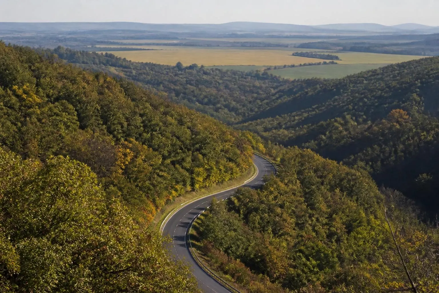 Kurvige Landstraße durch bewaldete Hügel, im Hintergrund Felder im Nachmittagslicht