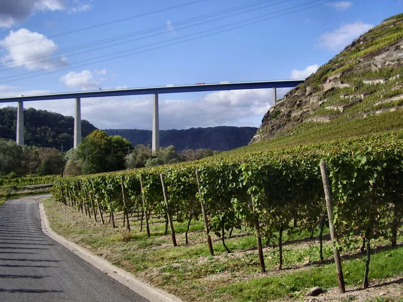 Asphaltierter Radweg zwischen Rebzeilen am Hang, im Hintergrund eine hohe Talbrücke vor bewaldeten Höhen