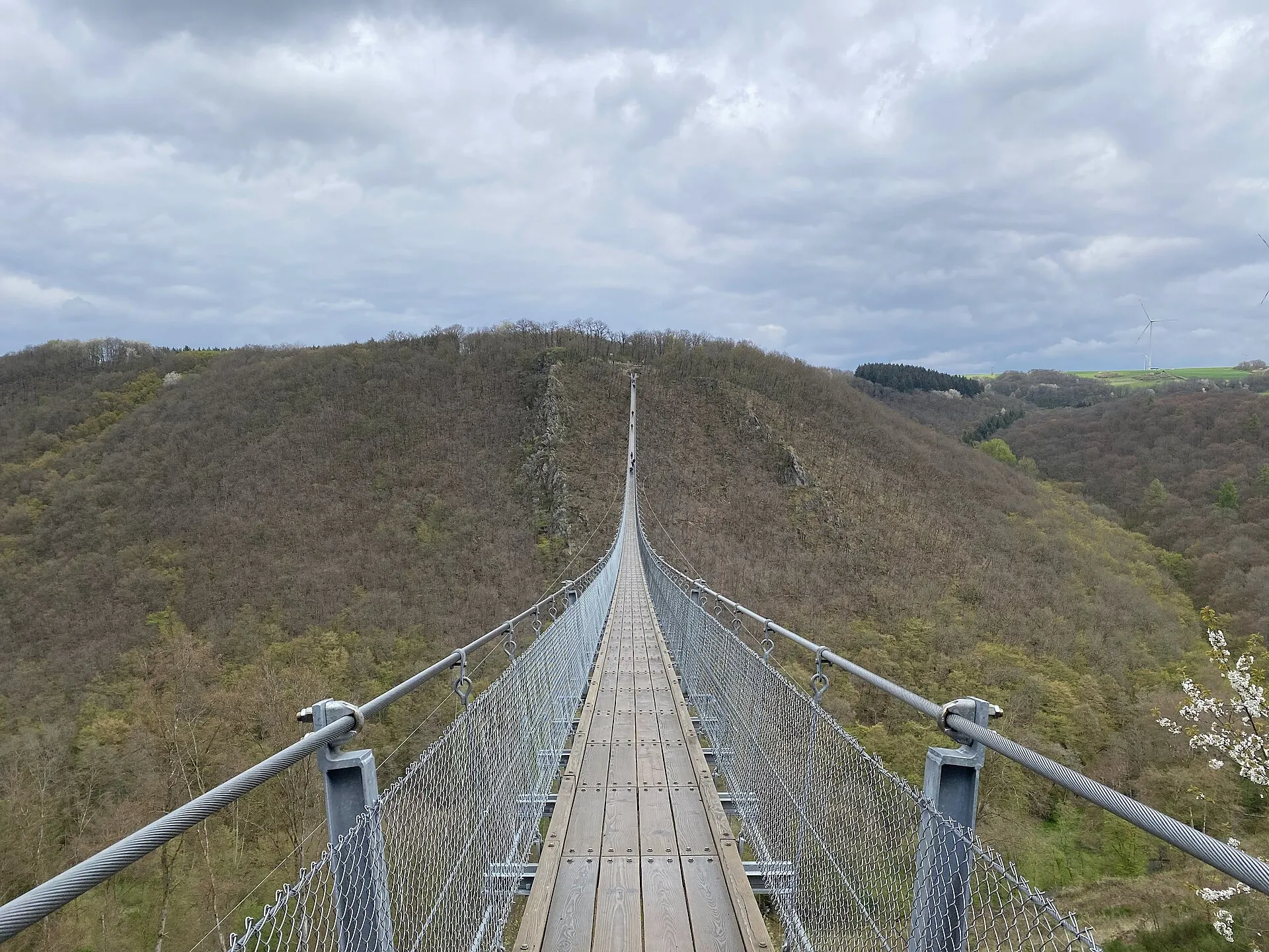 Blick über die Laufplanken einer langen Hängeseilbrücke auf den bewaldeten Höhenrücken gegenüber, Windrad am Horizont