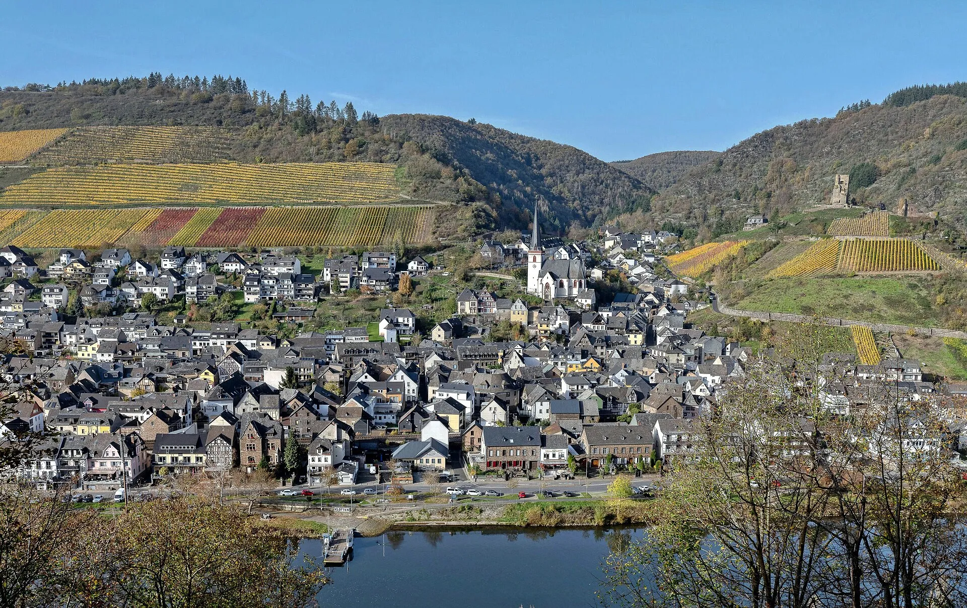 Blick von oben auf Klotten an der Mosel mit herbstlichen Weinbergen und der Burgruine Coraidelstein am Hang