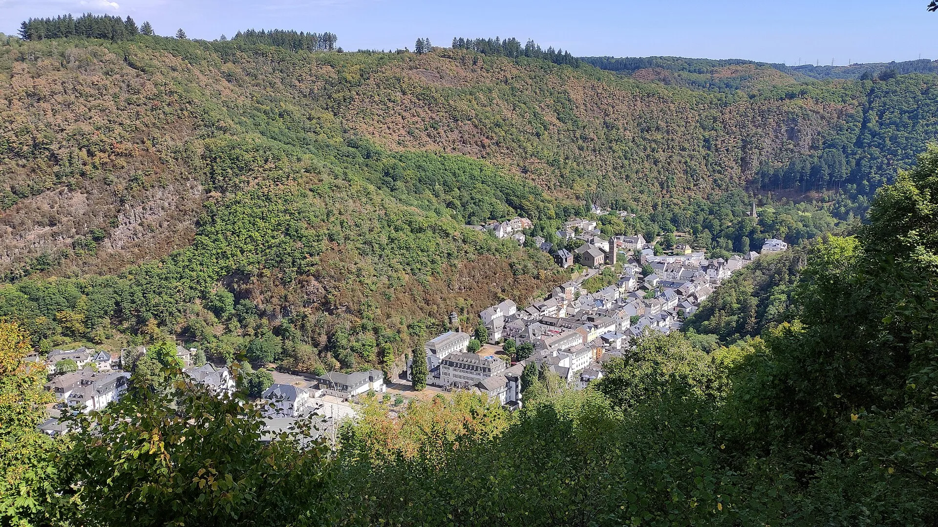 Blick von einem Waldhang hinunter auf Bad Bertrich im Üssbachtal: Kurhäuser zwischen steilen bewaldeten Hängen