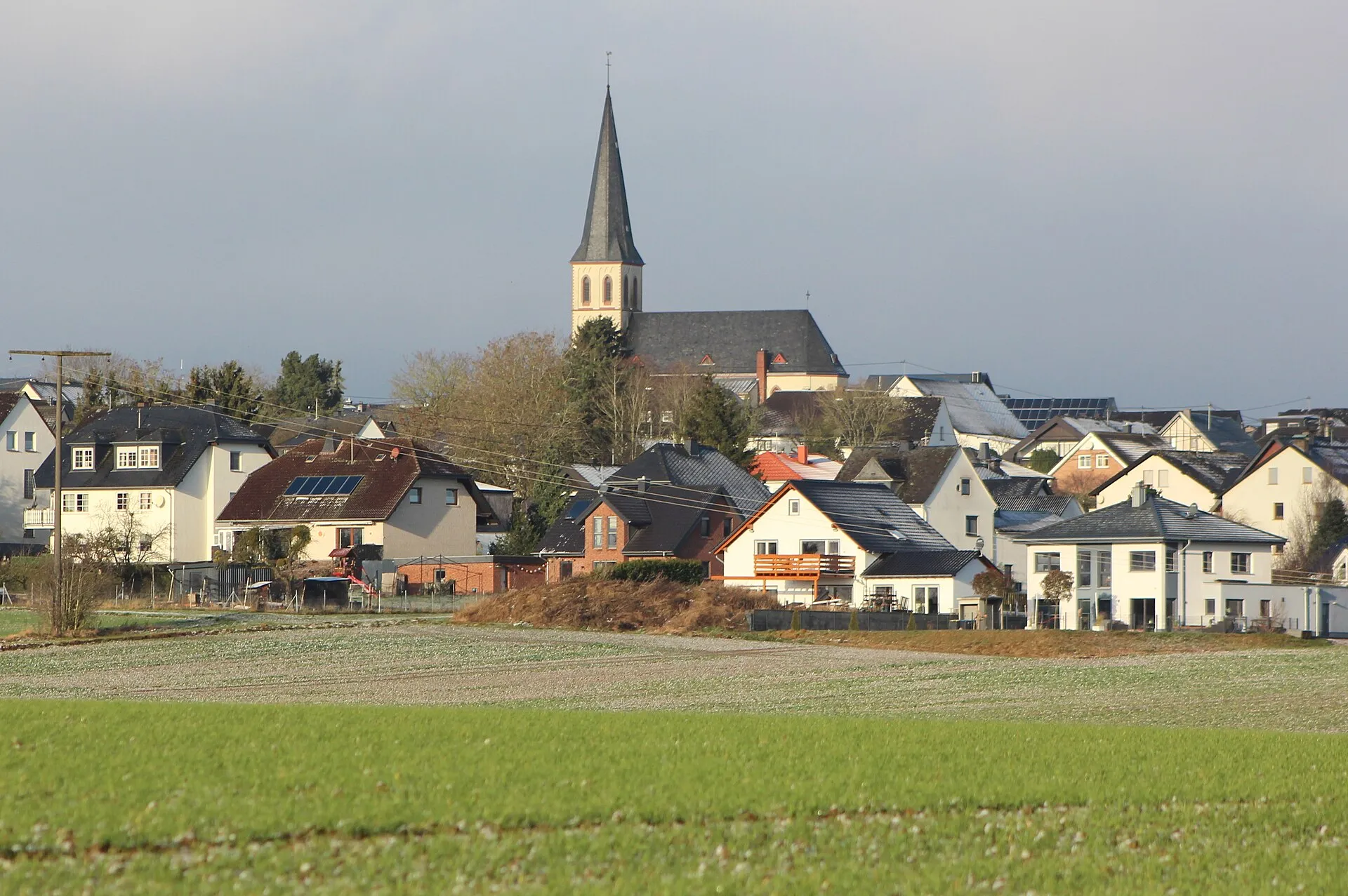 Dorfansicht mit neugotischem Kirchturm über Wohnhäusern, davor ein Acker und eine Wiese unter grauem Winterhimmel