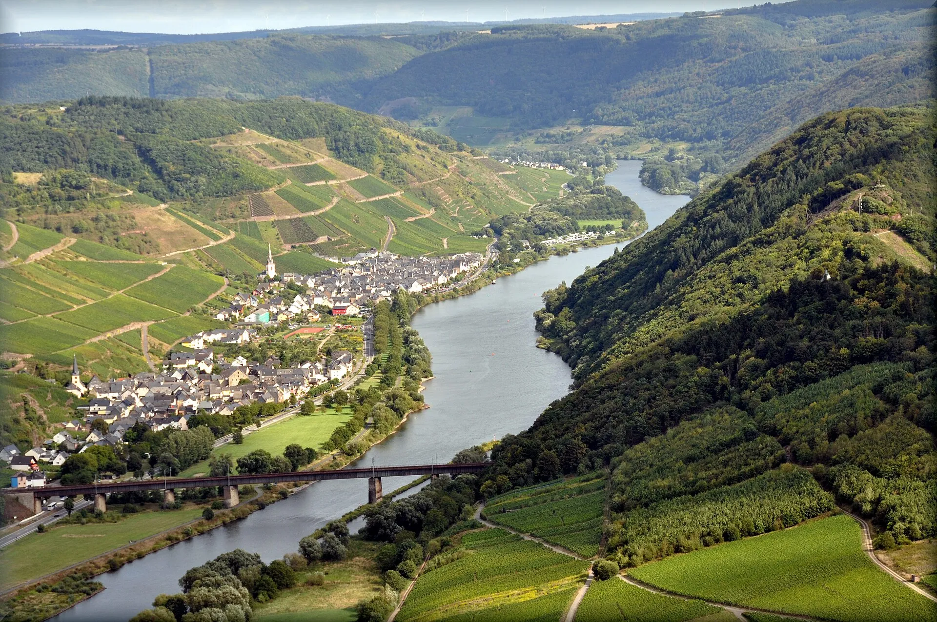 Blick von der Höhe ins Moseltal auf die Ortslage von Ediger-Eller zwischen Weinbergen und bewaldeten Hängen
